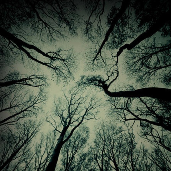 Meet your Posher, Laura - Picture 3 of 5